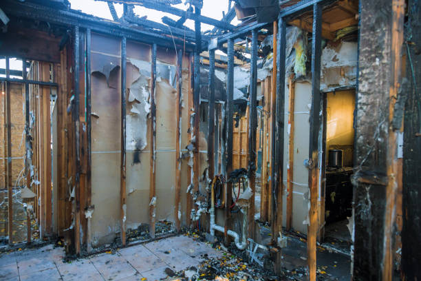 Professional Fire Damage Removal technician working in Renton, WA